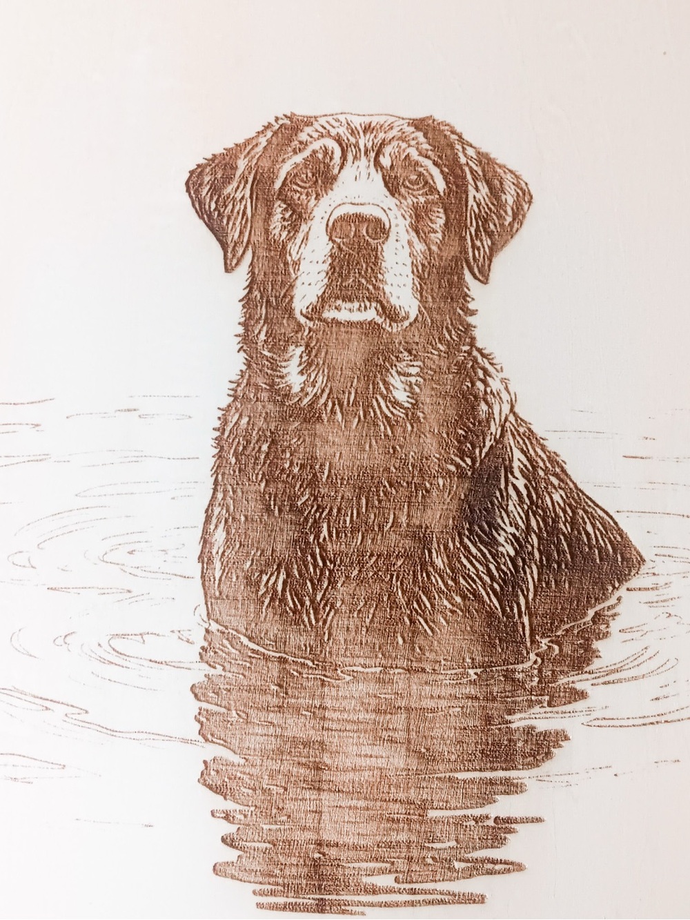 Custom Pet Portrait Wood Slice Sign • Laser Engraved Plaque • Personalized - Picture 11 of 13